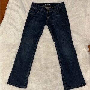 Hudson Low Rise Bootcut Flare Jeans